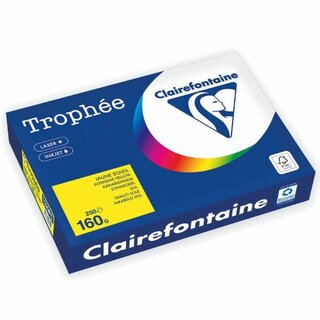 Farbpapier - Trophee - 1029C - A4 - 160 g/m - kanariengelb - 250 Blatt