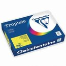 Farbpapier - Trophee - 1029C - A4 - 160 g/m -...