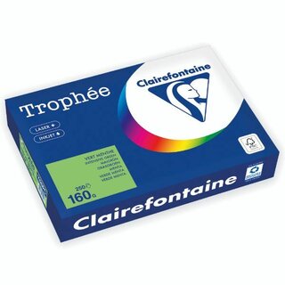 Farbpapier - Trophee - 1025C - A4 - 160 g/m² - grün - 250...