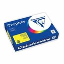 Farbpapier - Trophee - 1877C - A4 - 80 g/m - matt  -...