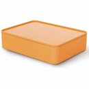 HAN ALLISON Utensilienbox 1110-81, orange
