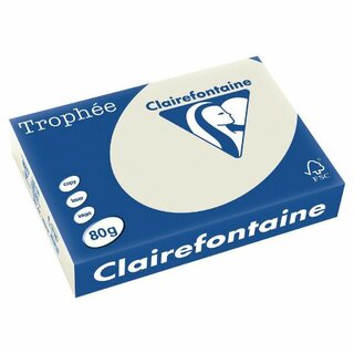 Clairefontaine Kopierpapier Trophee Pastell grau A4 80g 500 Blatt