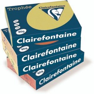 Clairefontaine Kopierpapier Trophee Pastell rosa A4 120g 250 Blatt