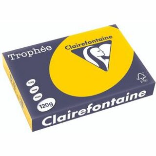 Clairefontaine Kopierp.Color Trophee Pastell goldgelb A4 120g 250 Blatt