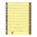 Trennbltter A4, farbig bedruckt, grau, 100 Stck