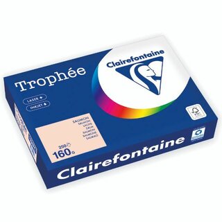 Kopierpapier Trophee 1104, A4, 160g, lachs, 250 Blatt