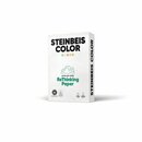 Kopierpapier Steinbeis Color, recycelt, A4, 80g,...