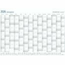 Staedtler Plakatkalender 641 Lumocolor,12 Monate,...