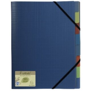 Ordnungsmappe Exacompta 552572E, 8 Fächer, PP, mit...