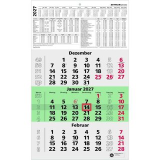 Zettler 3-Monatskalender 956 Recycling, 30 x 49cm, gr�n,...