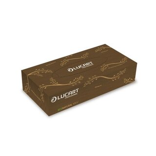 Kosmetiktücher Lucart 841073, 2-lagig, 20 x 21cm (B x H),...