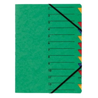Ordnungsmappe Easy, Presssp., A4, 12 Fächer, grün