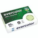 Kopierpapier Evercolor 400, A4, 80g, hellgrn, 500 Blatt
