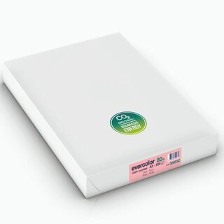 Kopierpapier Evercolor 3000, A3, 80g, rosa, 500 Blatt