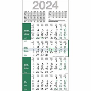 B�hner 4-Monatskalender RAINBOW M4R1, 4 M/1S, 30 x 59 cm, gr�n, 2027
