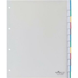 Durable Register PP Fenstertab blanko transp. A4 10-tlg....