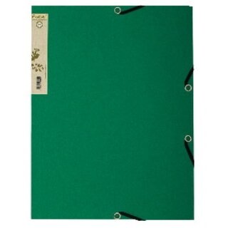 Exacompta Sammelmappe Recycling A4 380g grün Forever...