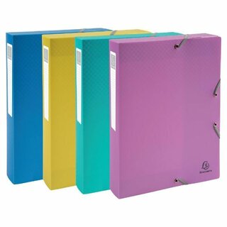 Exacompta Archivbox 59190E Forever Young, 40mm, PP, A4,...