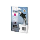 Epson C13T76034010 Tinte T7603 magenta