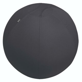 Leitz Ergo Sitzball 75 cm Grau