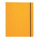 Ringhefter Pagna 44100, A4, 2-Ringe, Ringdurchmesser:...